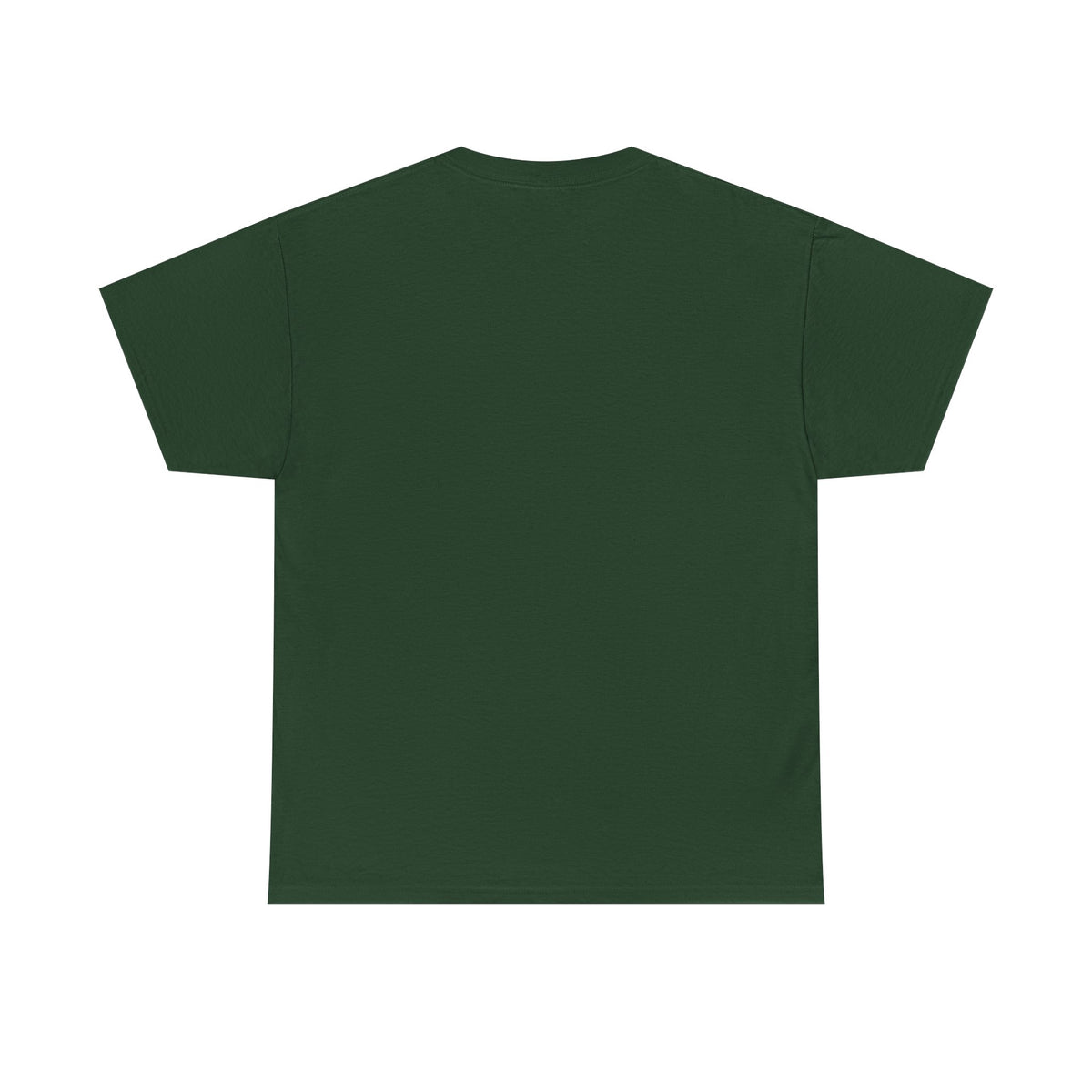 Slay the X Dragon T-Shirt — 'Rule the Equation' Math Teacher Geek Tee