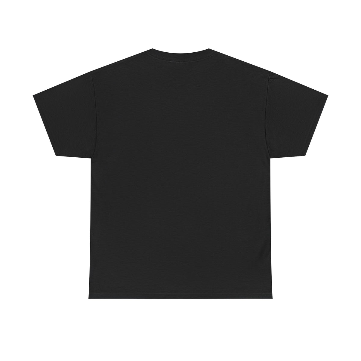 Slay the X Dragon T-Shirt — 'Rule the Equation' Math Teacher Geek Tee