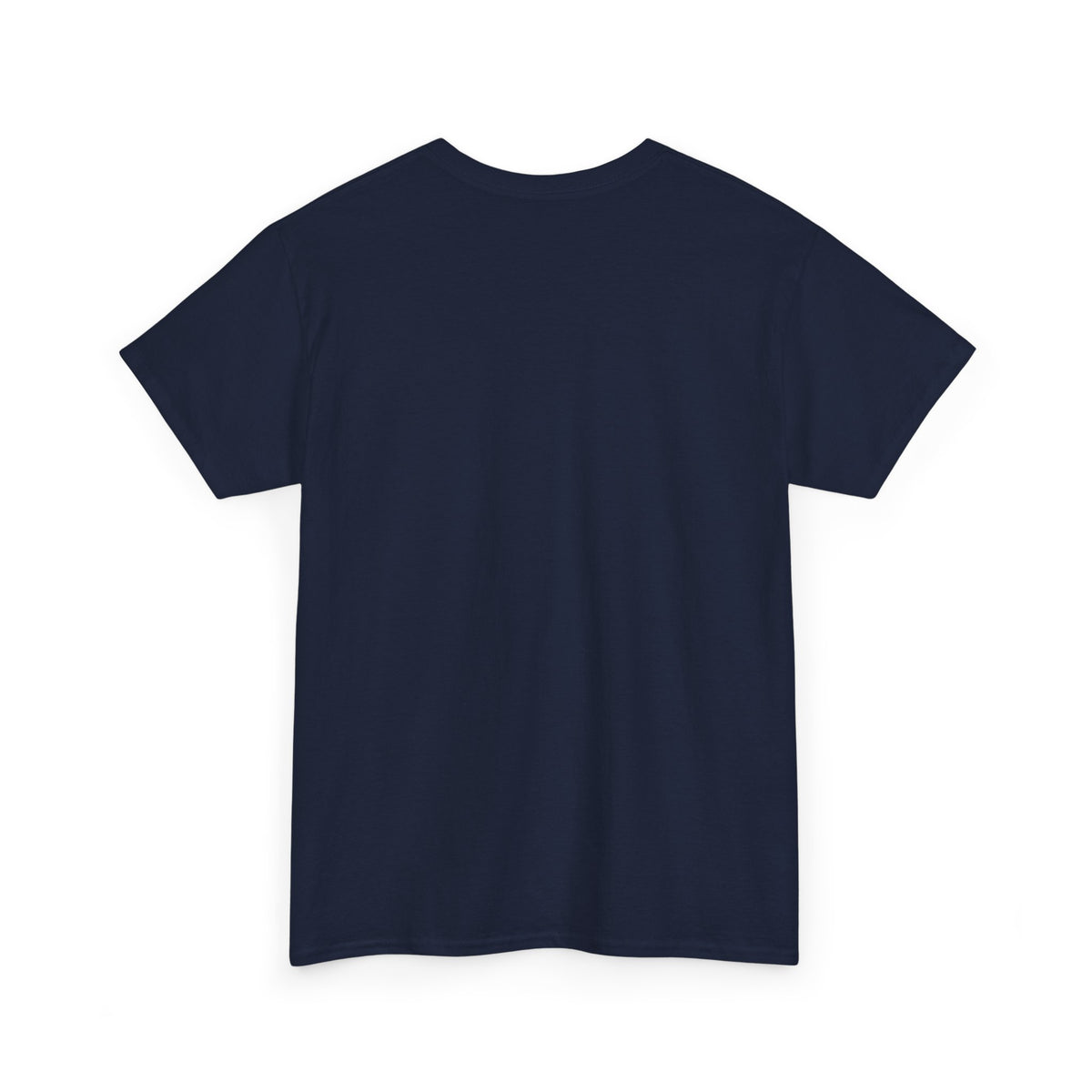 Slay the X Dragon T-Shirt — 'Rule the Equation' Math Teacher Geek Tee